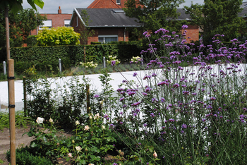 TuinOntwerpBureau De Keyser - Realisaties - Landschapstuin met vijver - Adegem